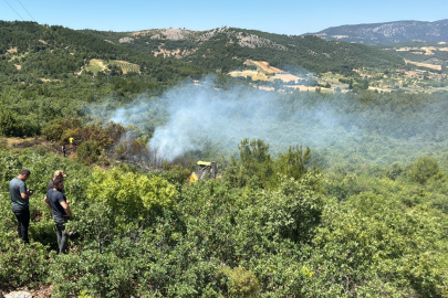 Enerji nakil hattından çıkan orman yangını kontrol altına alındı