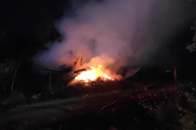 Mudanya'da bağ evi alevlere teslim oldu