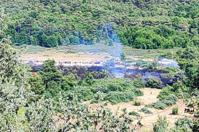 Marmaris’teki yangına hızlı müdahale