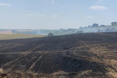 Hayrabolu'da 15 dönüm buğday tarlası yandı