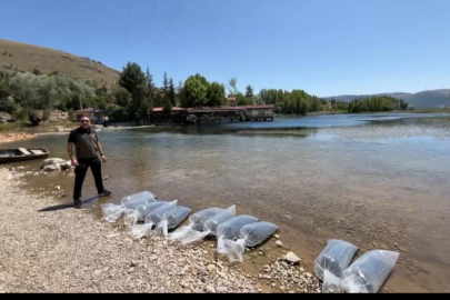 Baraj ve göletlere 205 bin yavru balık salındı