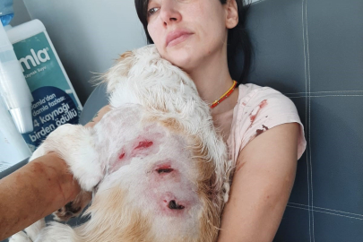 Bursa’da sabah yürüyüşü kabusa döndü: Kangal köpekleri saldırdı