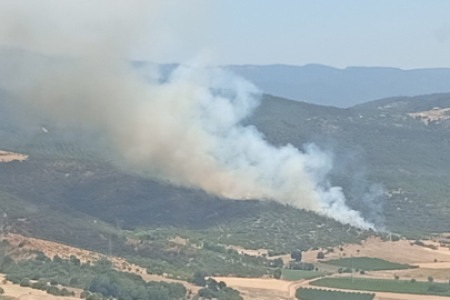 Bursa'da orman yangını 2 gün sonra yeniden alevlendi