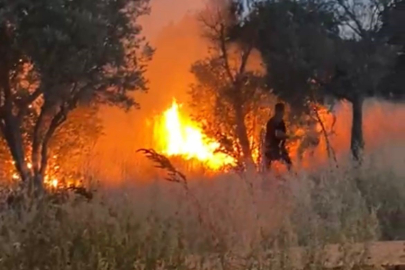 Bursa'da şalvar gecesi zehir oldu...Havai fişekler köyü yakıyordu