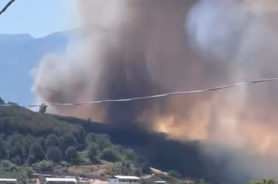 Bursa'da orman yangını! Alevler köye doğru ilerliyor