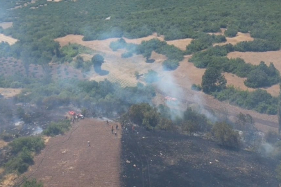 Bursa’da büyük tehlike! Yangın nasıl başladı?