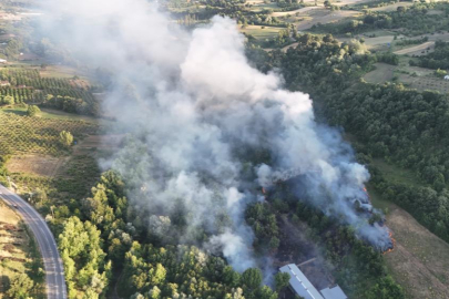Bursa’da çöplükte çıkan yangın ormana sıçradı