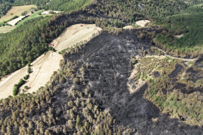 Bolu’daki orman yangınında 25 hektarlık alan küle döndü