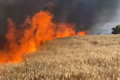 Bursa’da buğday tarlası alev alev yandı