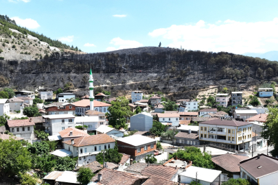 Bursa'da orman küllere döndü, mahalle son anda kurtuldu