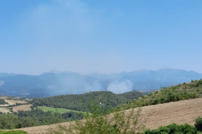 Osmaniye'de orman yangını başladı