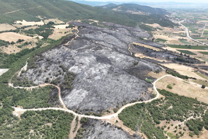 Bursa’da yangın felaketi: 65 hektar zarar gördü