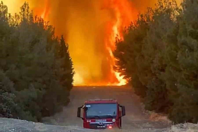 Orman yangını dehşeti: Arazöz alevlerin ortasında kaldı