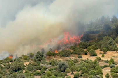 Bursa'da orman yangını paniği: Tahliye uyarısı yapıldı