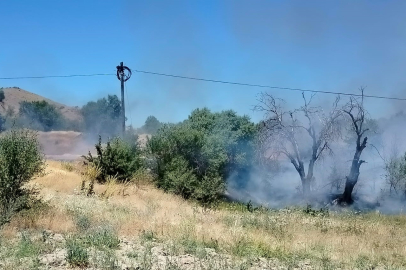 Elazığ'da korkutan yangın: Onlarca dönümlük alan kül oldu