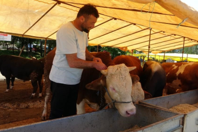 Bakanlık'tan kritik karar: Hayvan pazarları ikinci emre kadar kapatıldı