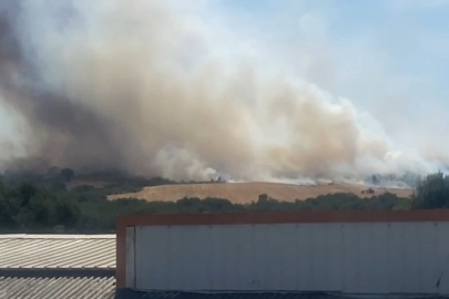 Bursa'da orman yangını: Alevler kısa sürede büyüdü