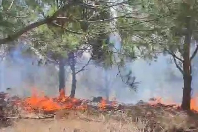 Bursa’da ağaçlık alanda yangın: Ekipler kontrol için seferber