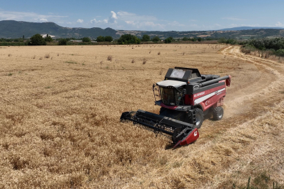 Büyükşehir'den çiftçilere destek: Buğday projesi meyvesini verdi