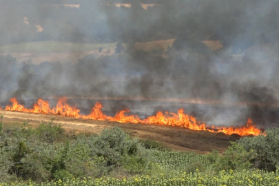 Kırklareli'nde yangın: 500 dekar tarım arazisi zarar gördü