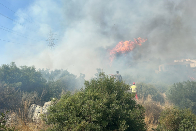 Yerleşim alanına yakın ağaçlık alanda yangın