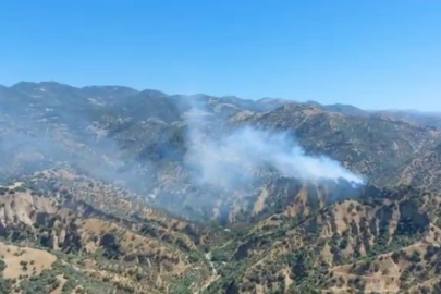 Zeytinlik alanda yangın çıktı, müdahale sürüyor