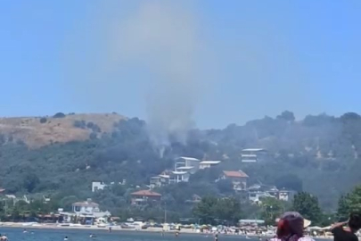 Mudanya’da ağaçlık alanda yangın: Sahilde panik anları