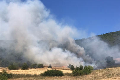 Bursa'da buğday tarlasında başlayan yangın ormana sıçradı