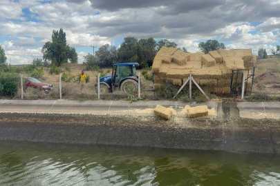 Kanala düşen 4 kişiden 1’i kayıp: Arama başlatıldı