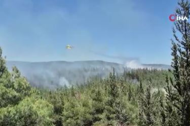 Çanakkale’de orman yangını