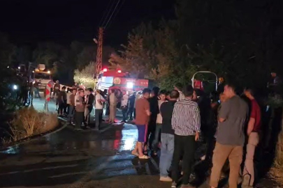 Hassa'da ormanlık alanda çıkan yangın kontrol altına alındı