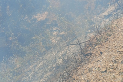 İznik’te orman yangını büyümeden söndürüldü