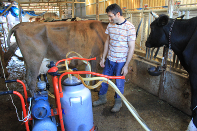 TÜSEDAD: Sıcak çiğ süt fiyatı en az 21 TL olmalı
