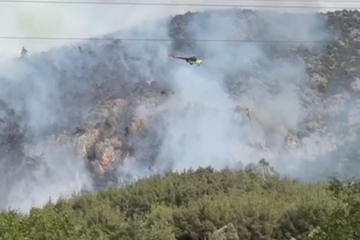Bilecik’te ikinci yangın alarmı: Ekipler sahada