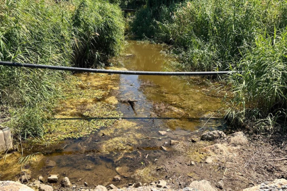 İznik Gölü tehlikede: Çakırca Deresi tamamen kurudu