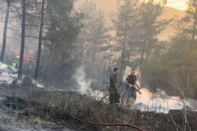 Bursa-Balıkesir sınırında orman yangını