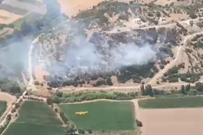 Milas'taki yangın kontrol altına alındı