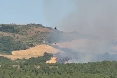 Balıkesir'de orman yangını: Havadan müdahale sürüyor