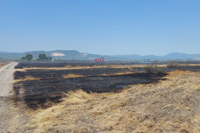 Merada çıkan yangında 200 dekar alan etkilendi