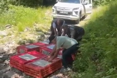 Bursa’da keneyle doğal mücadele: Bin 400 keklik doğaya salındı