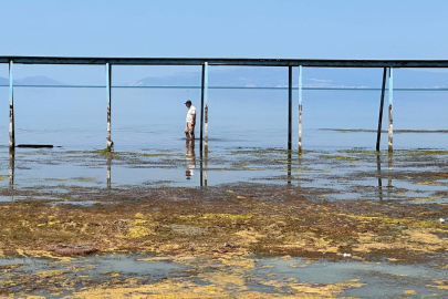 İznik Gölü alarm veriyor: Su diz boyunu geçmedi
