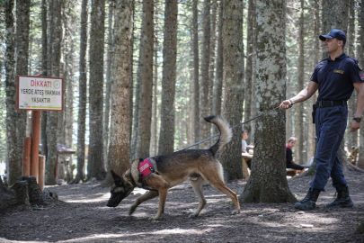 Uludağ’da jandarmadan orman yangınlarına karşı kuş uçurtmayan nöbet
