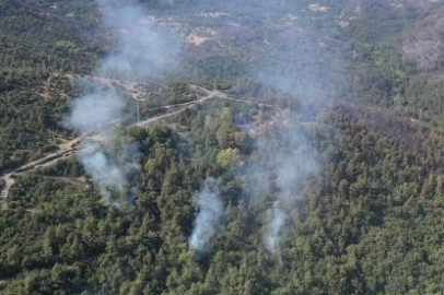 Balıkesir'deki yangın havadan görüntülendi