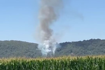 Sakarya'da ormanlık alanda yangın çıktı