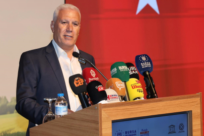 Bozbey'den anız yangınlarına tepki: Bu fikri kim aklınıza soktu?