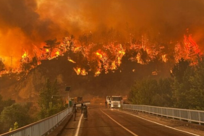 Orman yangınlarında bilanço ağır: 240 olay, 27 tutuklama