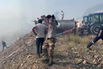 Bursa'da orman yangını: Çok sayıda ekip müdahale ediyor