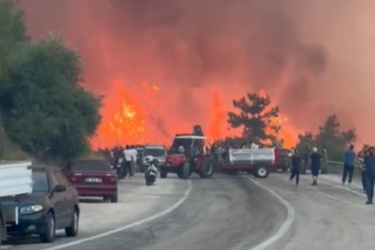 Bursa'daki yangın karayoluna ulaştı: Vatandaşlar alev içerisinde kaldı
