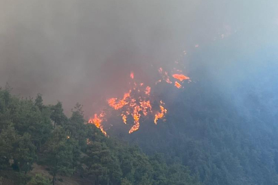 Bursa'nın ciğerleri yanıyor