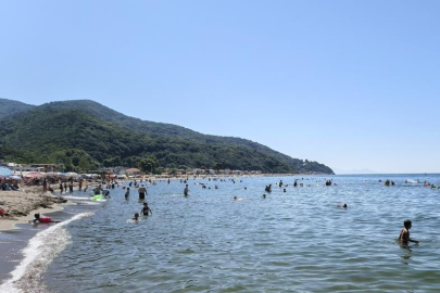 Bursa sahillerinden sevindiren haber